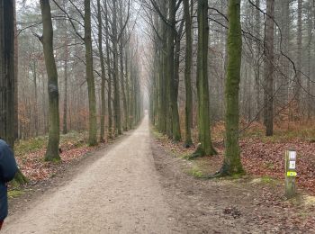 Tocht Stappen Oud-Heverlee - Meerdael  - Photo