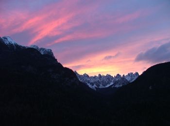 Trail On foot Pieve di Cadore - IT-343 - Photo