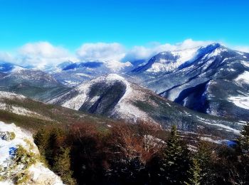 Trail Walking La Beaume - Ranc de Chamoussière - Crête de la Longeagne Via Le villard - Photo