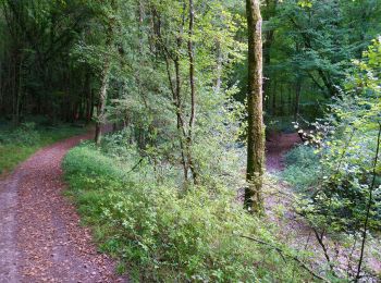 Trail Walking Monts - Monts - Ruisseau de Montison - 9km 95m 2h05 - 2020 09 06 - Photo