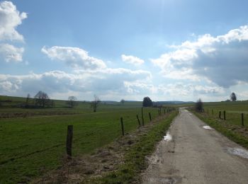 Trail Walking Léglise - Bois Ramon - Juseret - Photo