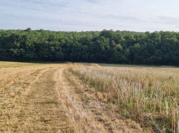 Tour Wandern Renay - Renay - Champs Bois Chapelle Eglise - Photo