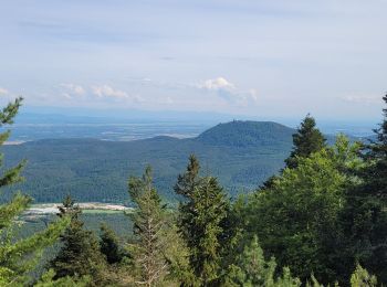 Excursión Senderismo La Vancelle - marche la vancelle rocher du coucou  - Photo