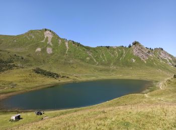 Tour Wandern Taninges - 11-08-21 lac de Roy et pointe de Haut-Fleury - Photo