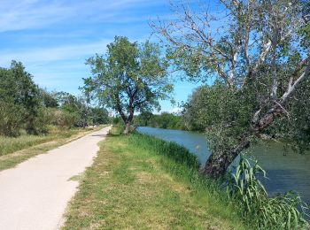 Trail Walking Arles - arles sud, théâtre, pont van gogh et au delà  - Photo