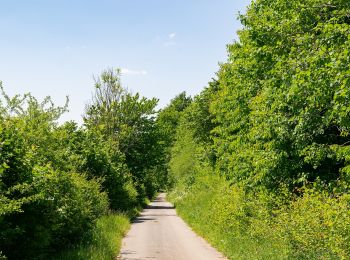 Percorso A piedi Höxter - Erlesene Natur - Zu Besuch im Paradies - Photo