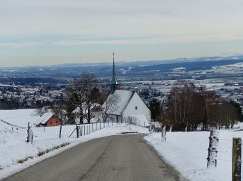 Excursión A pie Lengnau (BE) - Wurzelweg - Photo