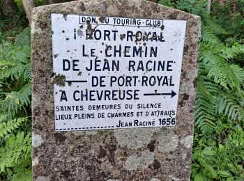 Tour Wandern Magny-les-Hameaux - Boucle des granges de Port Royal - Photo