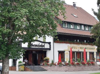 Tour Zu Fuß Seewald - Göttelfingen-Besenfeld - Photo