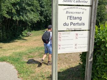 Tour Wandern Saint-Martin-la-Plaine - 20200723...De St-Martin-la-Plaine à Ste Catherine - Photo