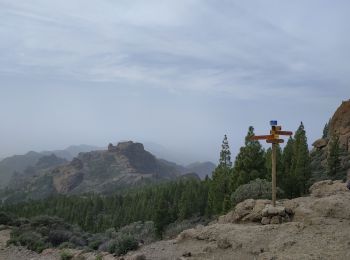 Trail Walking Tejeda - Roque nuble - Photo