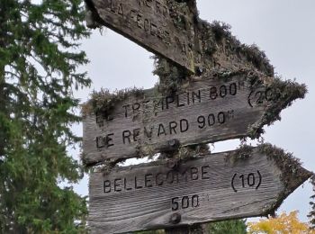 Tour Wandern Les Déserts - REVARD 07-10-24 - Photo