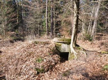 Trail On foot Steinfeld - Westwallwanderweg Schaidt - Photo