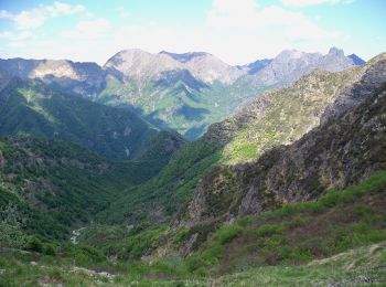 Tour Zu Fuß Trontano - P40 - Alpe in La Piana - Alpe della Colma - Photo