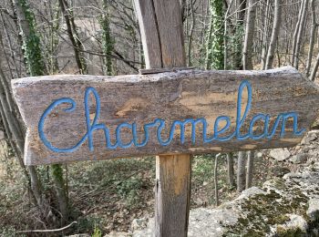 Tour Wandern Barnas - Balade Barnas Le Bruc Charmelan - Photo