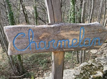 Trail Walking Barnas - Balade Barnas Le Bruc Charmelan - Photo