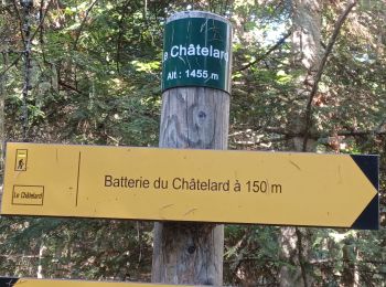 Trail Walking Ubaye-Serre-Ponçon - S VINCENT LES FORTS . LES BATTERIES.  O L S  - Photo