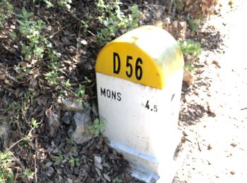 Tour Wandern Mons - Mons - Photo