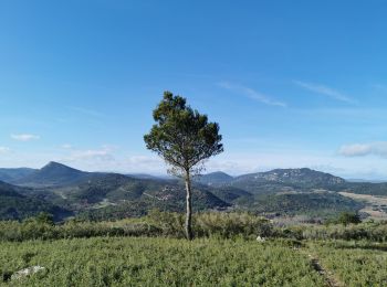 Trail Walking Villeneuvette - villeneuvette  - Photo