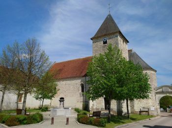 Randonnée Marche Mareuil-sur-Cher - Mareuil-sur-Cher - 2 boucles sur GR41 - 9.4km 150m 2h25 - 2018 04 01 - Photo