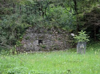 Tocht Te voet Fladnitz an der Teichalm - Wanderweg 7 - Photo