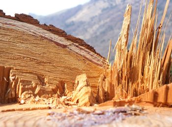 Percorso A piedi Zone - Sentiero della Valle di Gasso - Photo