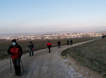 Trail Walking Boulay-Moselle - randonnée du 11/02/22 - Photo