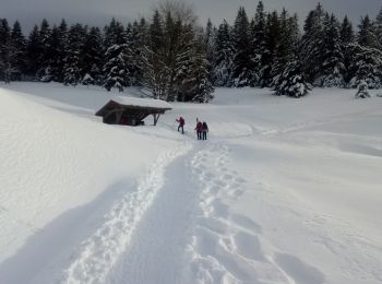 Trail Snowshoes Cornimont - Raquettes   LE BRABANT - Photo