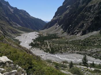 Trail Walking Vallouise-Pelvoux - Le Glacier Blanc - Pré Madame Carle - Photo