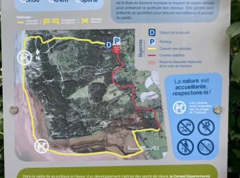 Trail Walking Saint-Quentin-en-Tourmont - Les Crocs - Photo