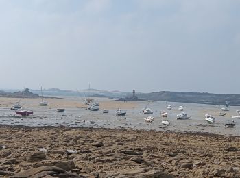 Tocht Stappen Pleumeur-Bodou - île grande - Photo