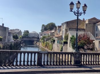 Tour Wandern Saint-Cyr-des-Gâts - Le Défend St Cyr des Gats - Fontenay Le.Comte - Photo