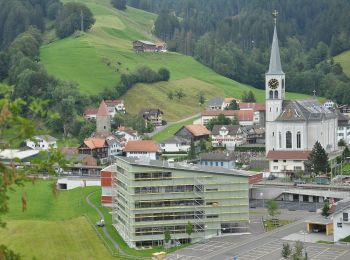 Excursión A pie Alpthal - Oberdorf - Teuffeli - Photo
