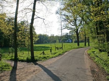 Randonnée A pied Oldenzaal - NS-wandeltocht Boerskotten - Photo