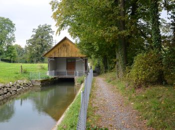 Trail On foot Uster - Oberuster - Aathal - Photo