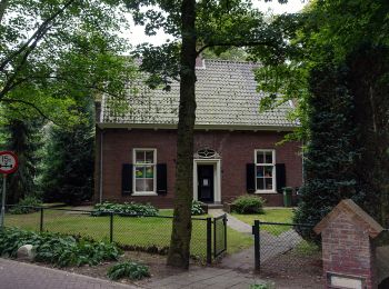 Tour Zu Fuß Oisterwijk - Kolkvenroute - Photo