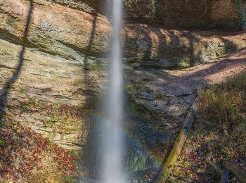 Tour Zu Fuß Dürnten - Breitenmatt-Wald - Photo