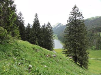 Randonnée A pied Rüte - Ruhsitz - Rainhütte - Photo