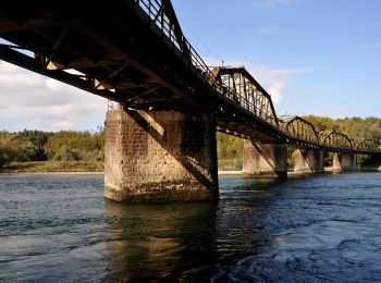Percorso A piedi Leuggern - Regenhalden - Döttingen Brücke - Photo