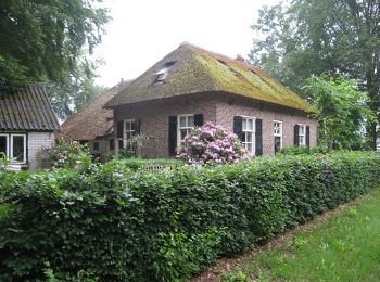 Randonnée A pied Apeldoorn - Dwars door Gelderland (5) - Photo