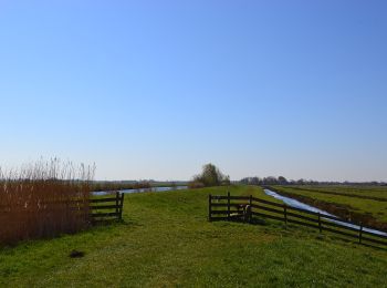 Randonnée A pied Bodegraven-Reeuwijk - Bruinegoudroute - Photo