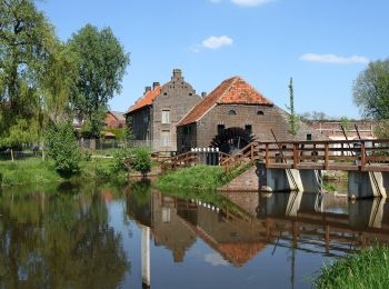 Tour Zu Fuß Peel en Maas - Hanssum route - Photo