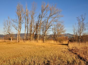 Percorso A piedi Wetzikon (ZH) - Industriepfad Zürcher Oberland - Photo