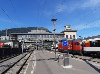 Tocht Te voet Arth - Goldau-Dächli - Photo