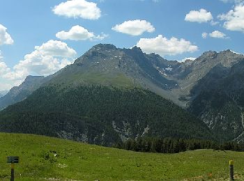 Tocht Te voet Val Müstair - Nationalpark Wanderroute 15 (Munt la Schera) - Photo