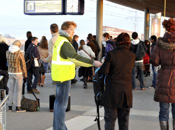 Percorso A piedi Woerden - NS-wandeltocht Hollandse Kade - Photo