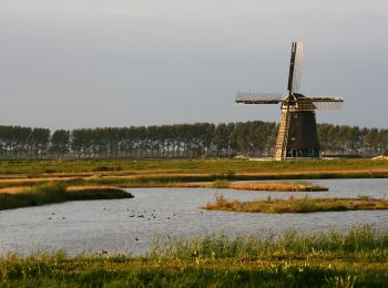 Tocht Te voet Koggenland - Rondje Wogmeer - Photo