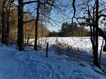Randonnée A pied Ermelo - Leuvenumse bos (blauwe route) - Photo