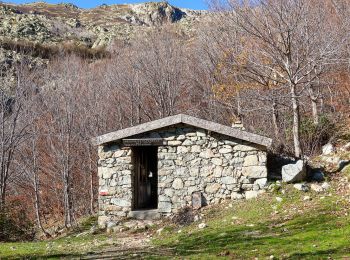 Trail On foot Ghisoni - Monte Renoso - Photo