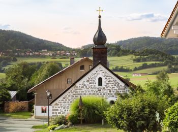 Tour Zu Fuß Grainet - Graineter Kapellenweg - Photo